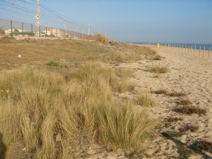 Les roques cobertes de dunes a Vilassar