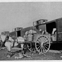 L’exportació en tren de les Mataro potatoes